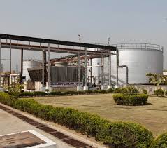 Pernod Ricard India plans new distillery in Dindori - Food Sector News