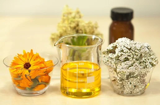 filipendula-ulmaria-1526400__340-edible-oil