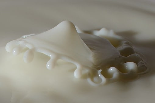 milk-214969__340-dairy