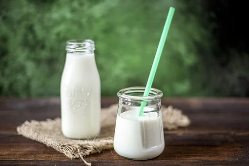 milk-3231772__340-dairy-dairy