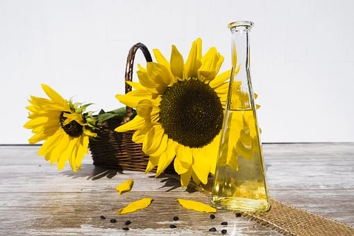 oil-2759779__340-edible