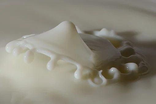 milk-214969__340-dairy