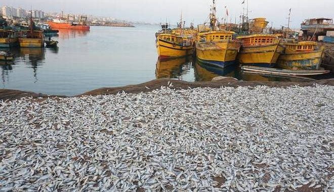 fisheries