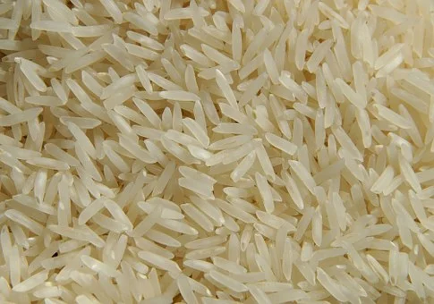rice-11
